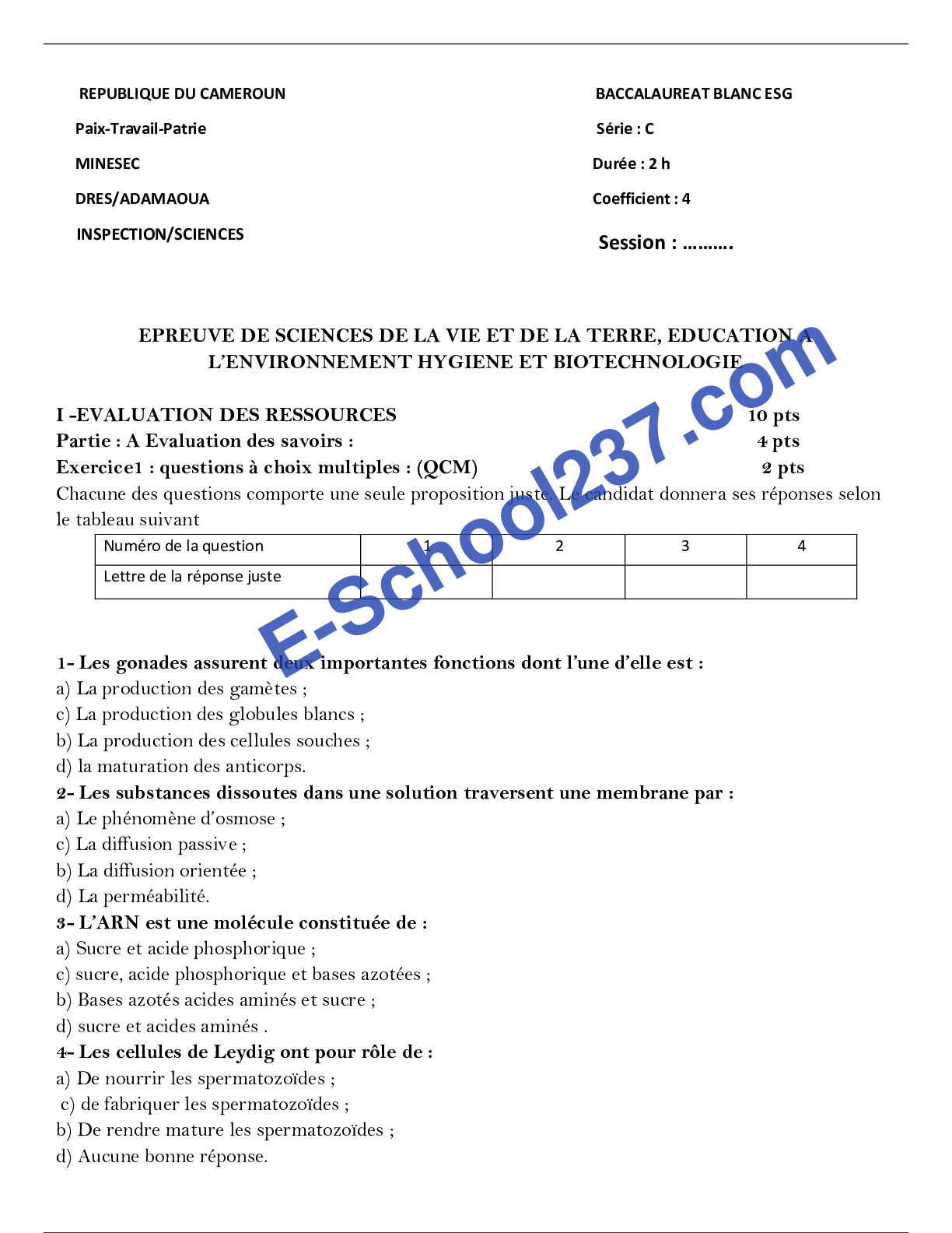 SVTEEHB_BAC BLANC TI